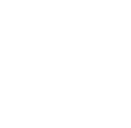 20 years in business